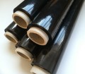 folia stretch.jpg